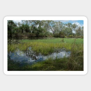 Cockatoo Lagoon, Northern Territory Sticker